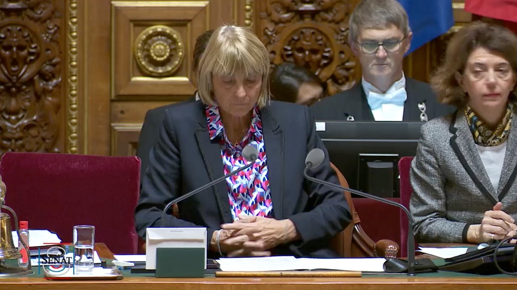 [ QAG ] Dominique Théophile interroge le Gouvernement à l’occasion de la journée du proche aidant